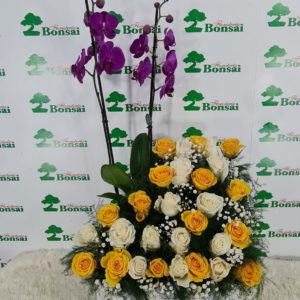 Orquidea 5