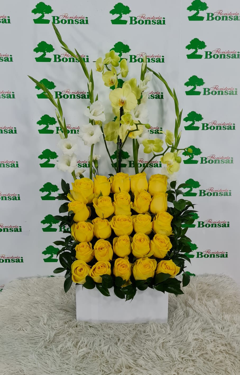 Orquidea 9