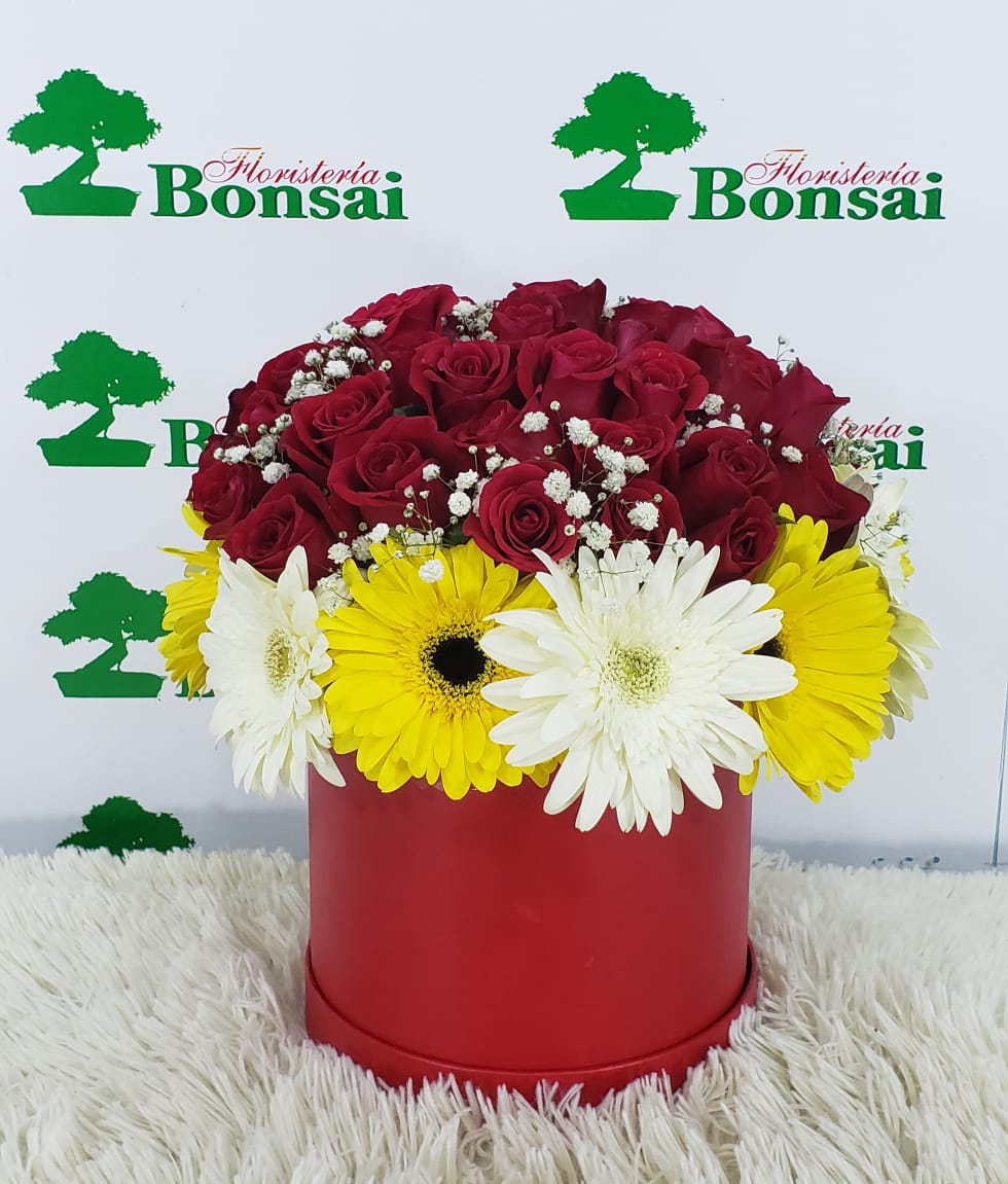 Caja Gerberas y Rosas Rojas CG31 - Floristeria Bonsai