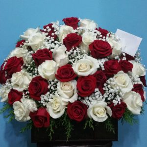 cmb60