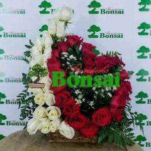 rosas rojas y blancas