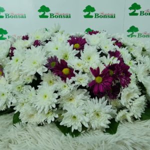 Arreglo Fúnebre en Margaritas Blancas MB80