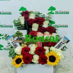 rosas rojas y blancas