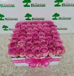 Caja Rosas Fucsias