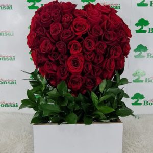 Caja de Rosas Rojas CMR69