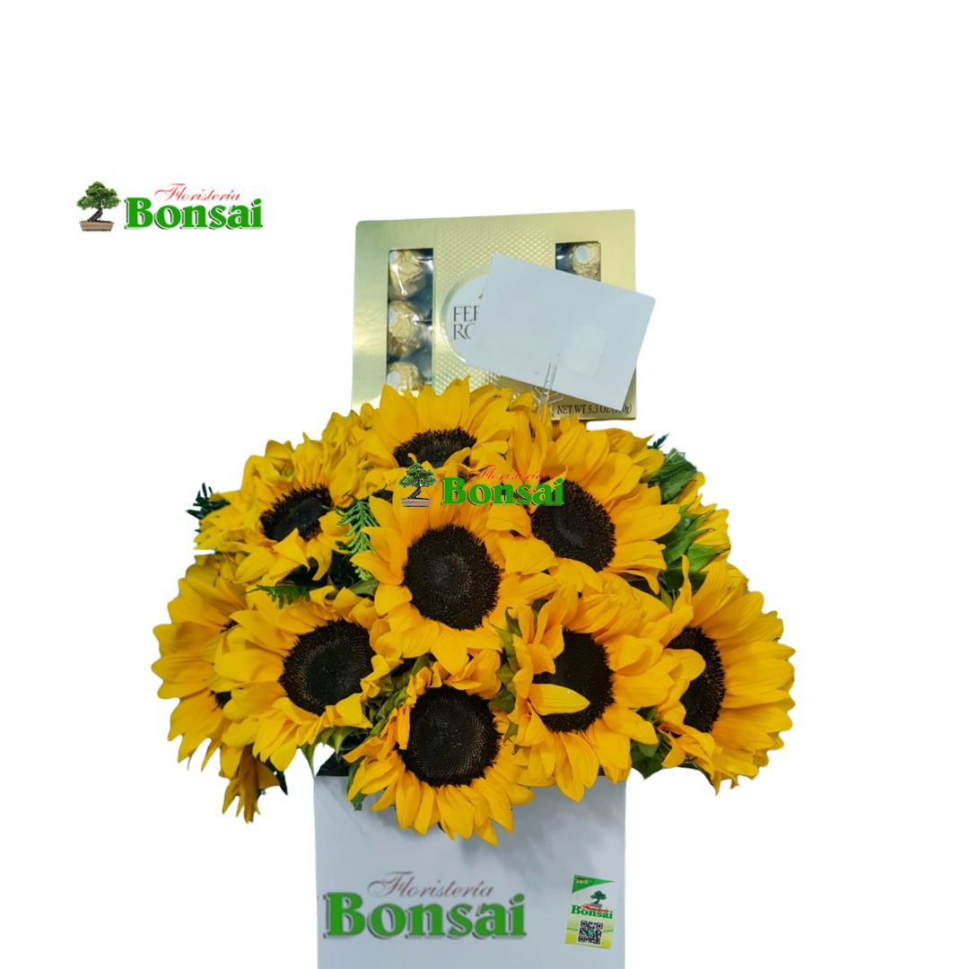 Caja en Girasoles CG16
